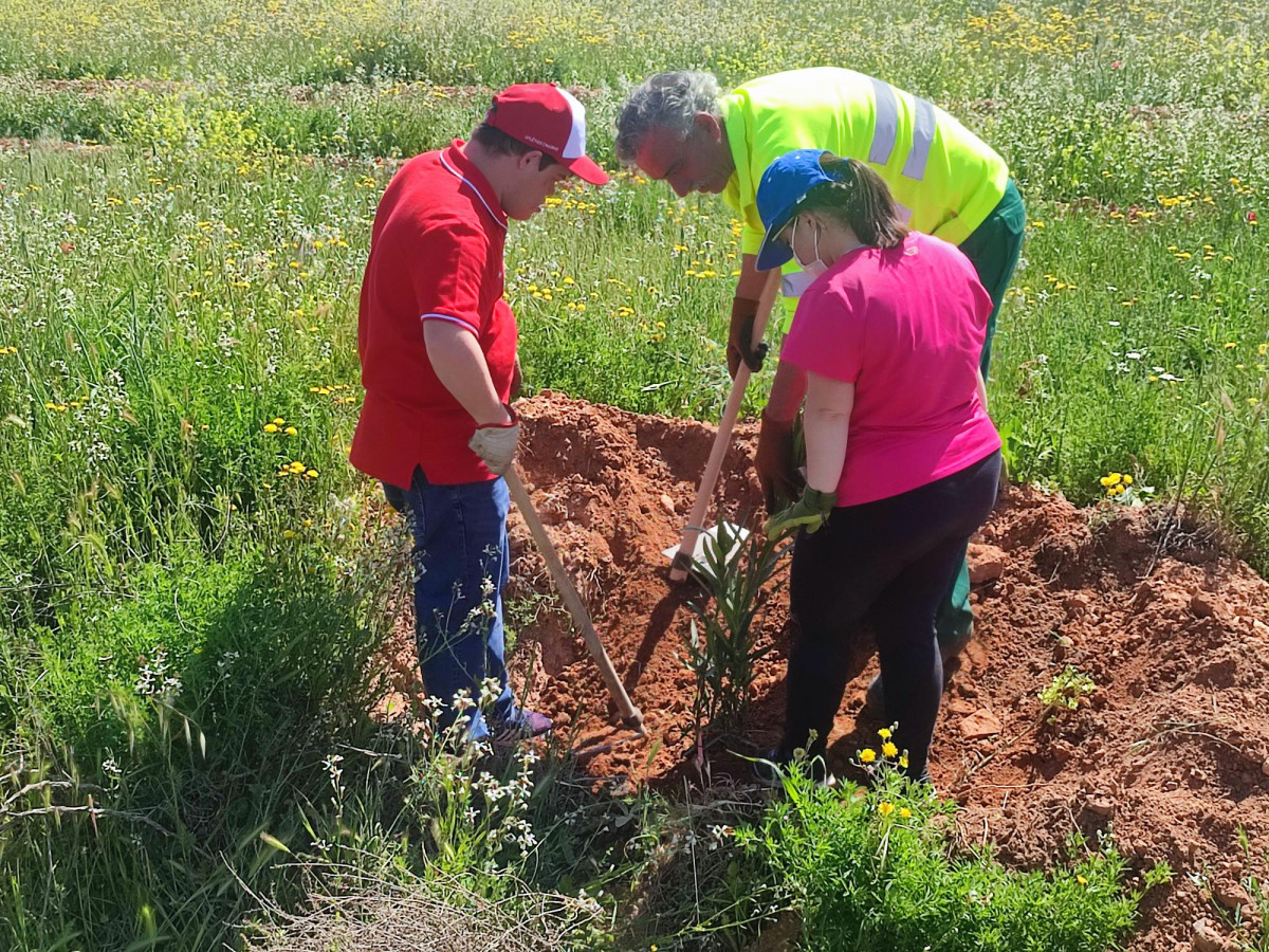 090522 VA REFORESTACION 3
