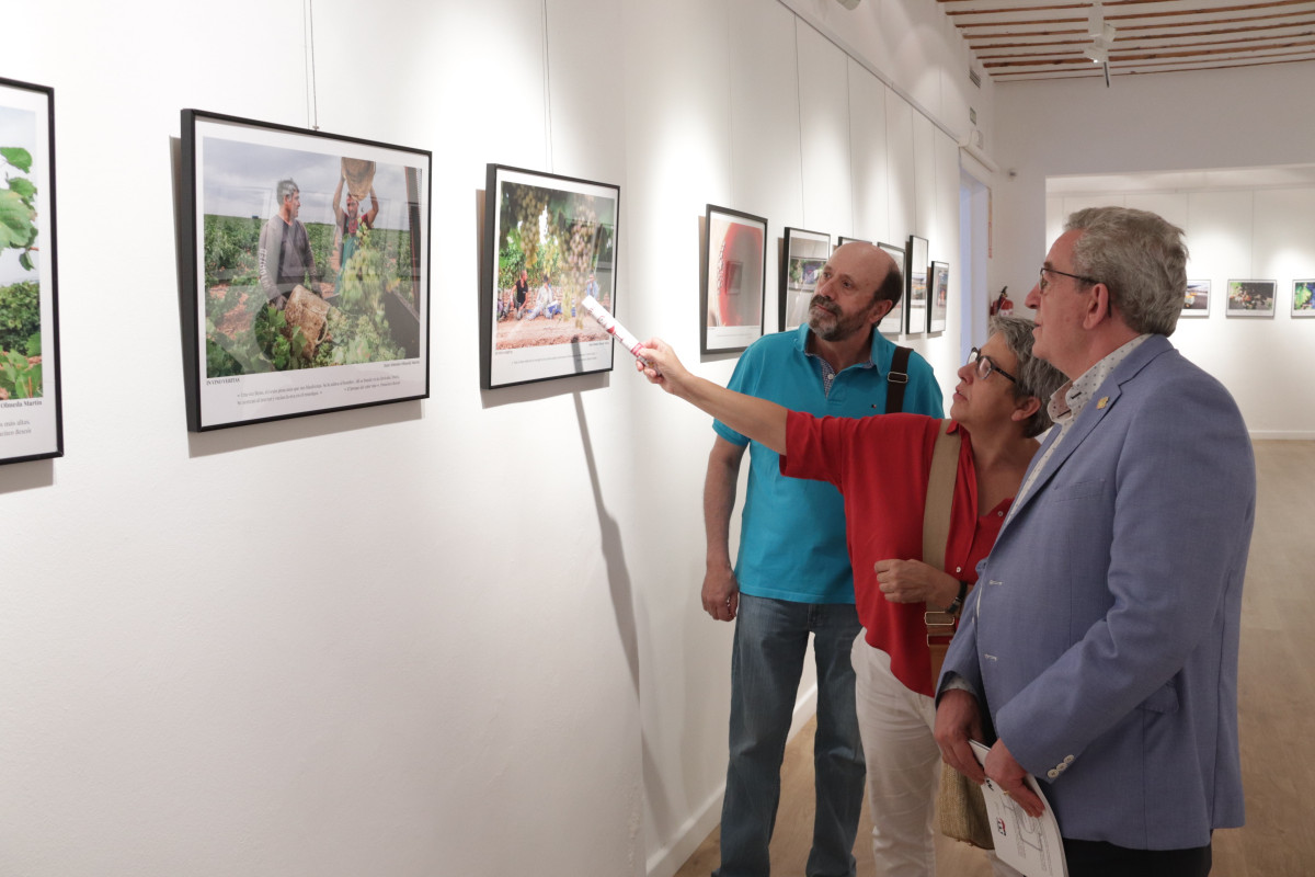 Exposiciu00f3n 'In vino veritas   En el vino estu00e1 la verdad' (5)