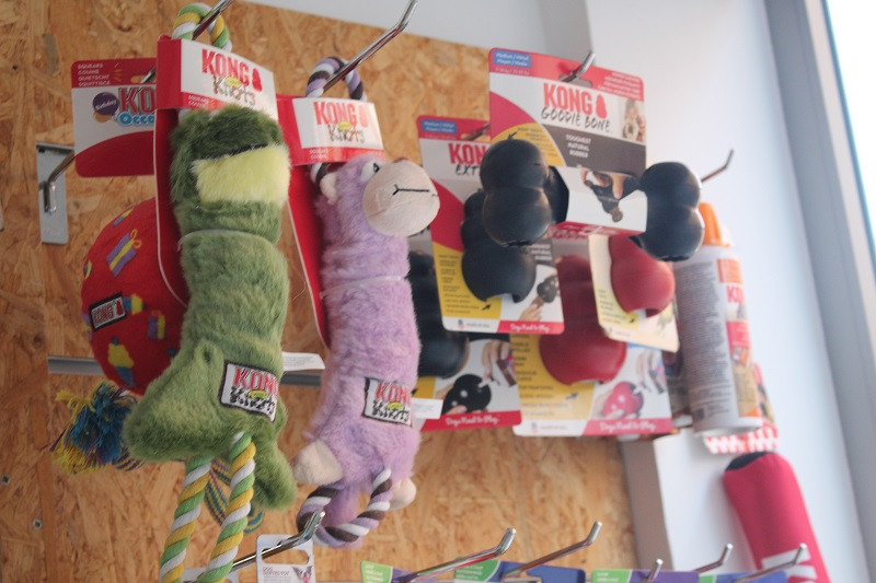 PELUQUERIA CANINA LUNA 7