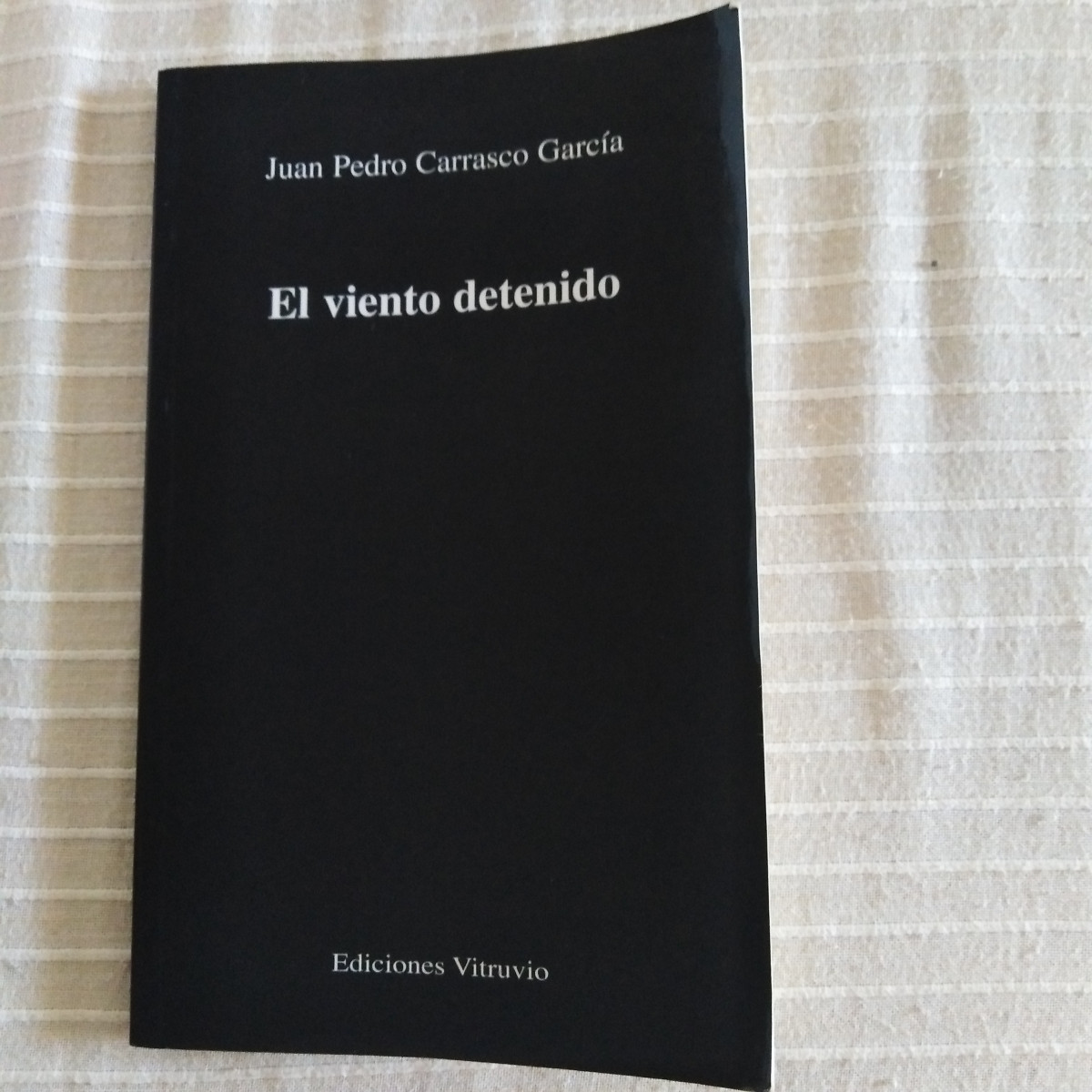 El viento detenido. Portada