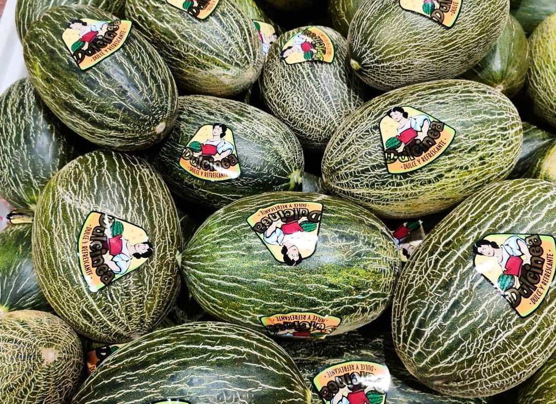  Melones Dulcinea de la Mancha