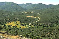 Los Navalucillos Cabañeros 2022 10