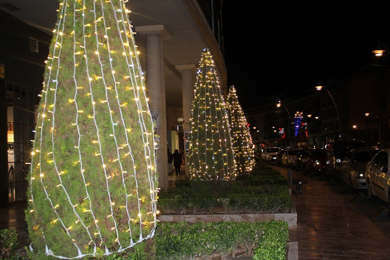 LUCES NAVIDAD 24