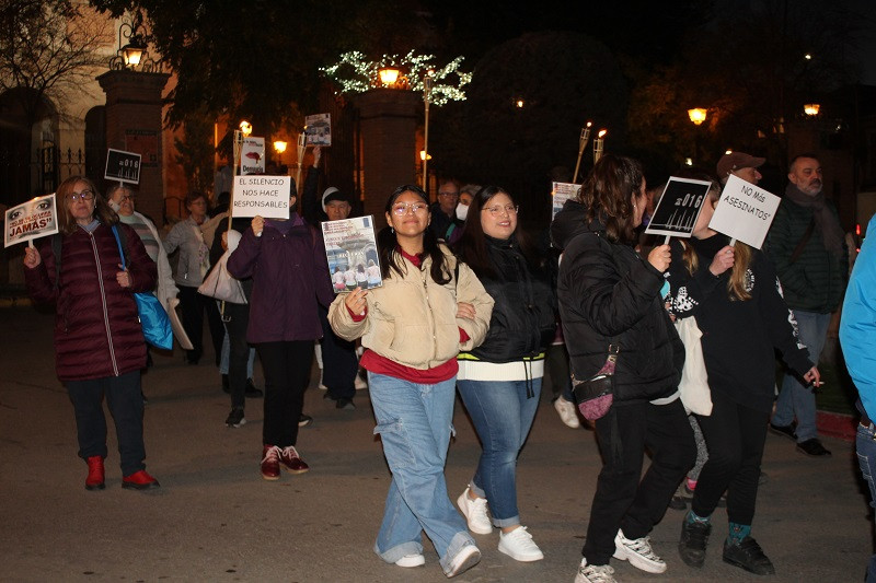 251122 VA MARCHA VIOLENCIA GENERO 8