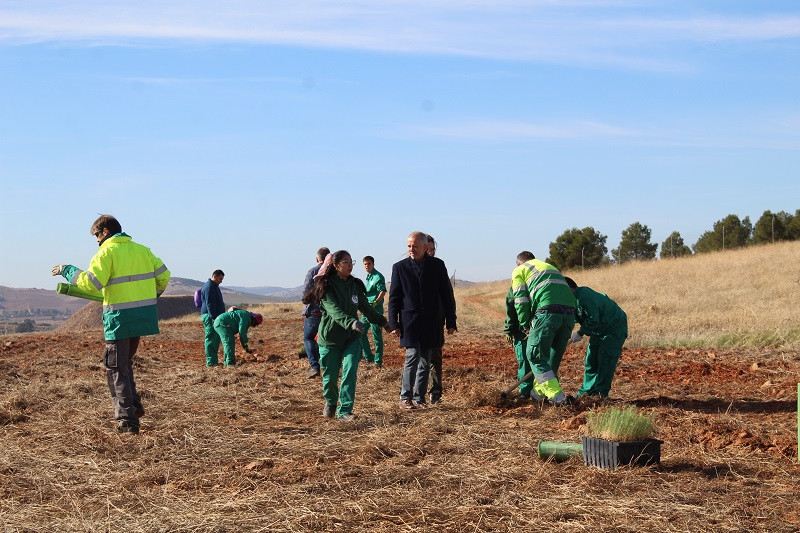 291122 VA PLANTACION 2