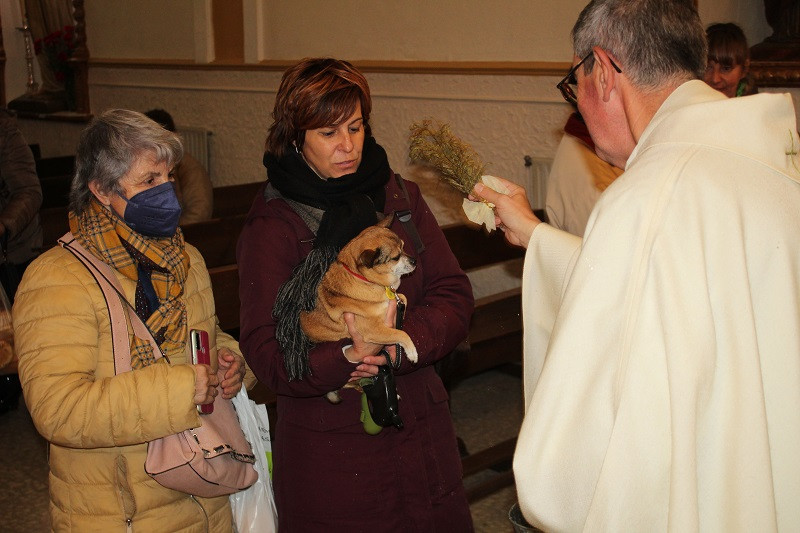 170123 VA SAN ANTON BENDICION ANIMALES 15