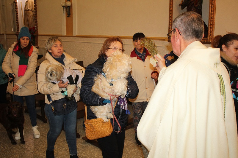 170123 VA SAN ANTON BENDICION ANIMALES 18