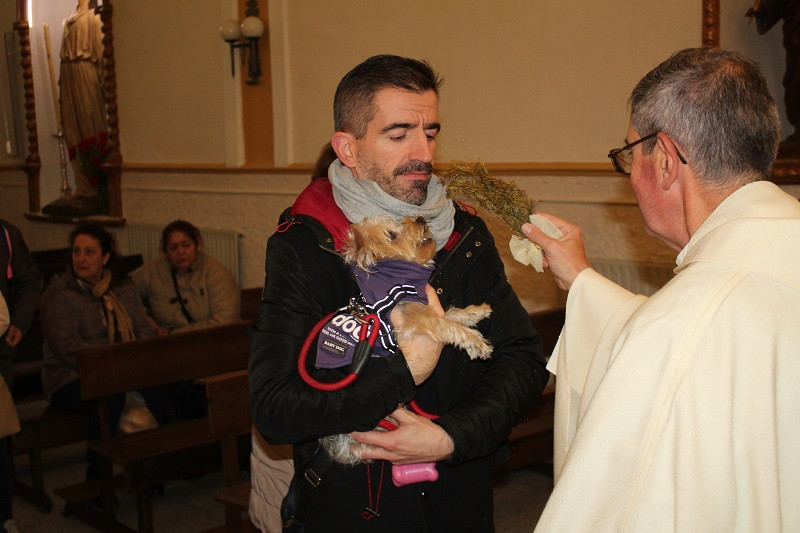 170123 VA SAN ANTON BENDICION ANIMALES 11