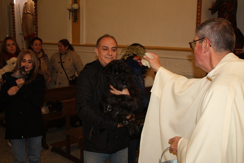 170123 VA SAN ANTON BENDICION ANIMALES 7