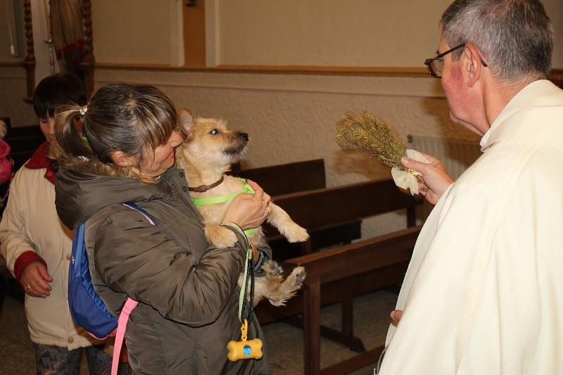 170123 VA SAN ANTON BENDICION ANIMALES 12