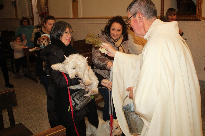 170123 VA SAN ANTON BENDICION ANIMALES 16