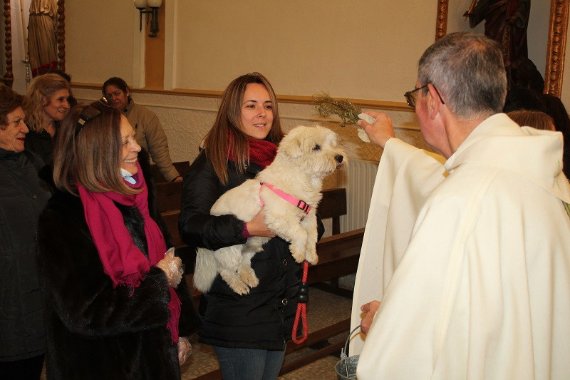 170123 VA SAN ANTON BENDICION ANIMALES 8