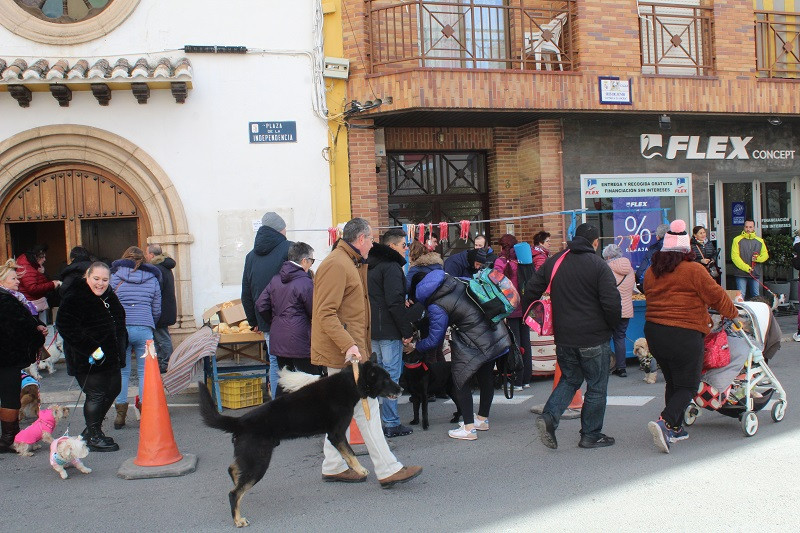 170123 VA SAN ANTON BENDICION ANIMALES 24