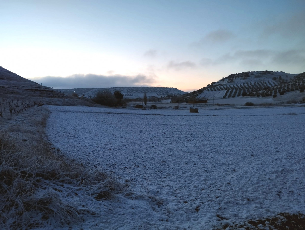 Carrizosa nevado 2