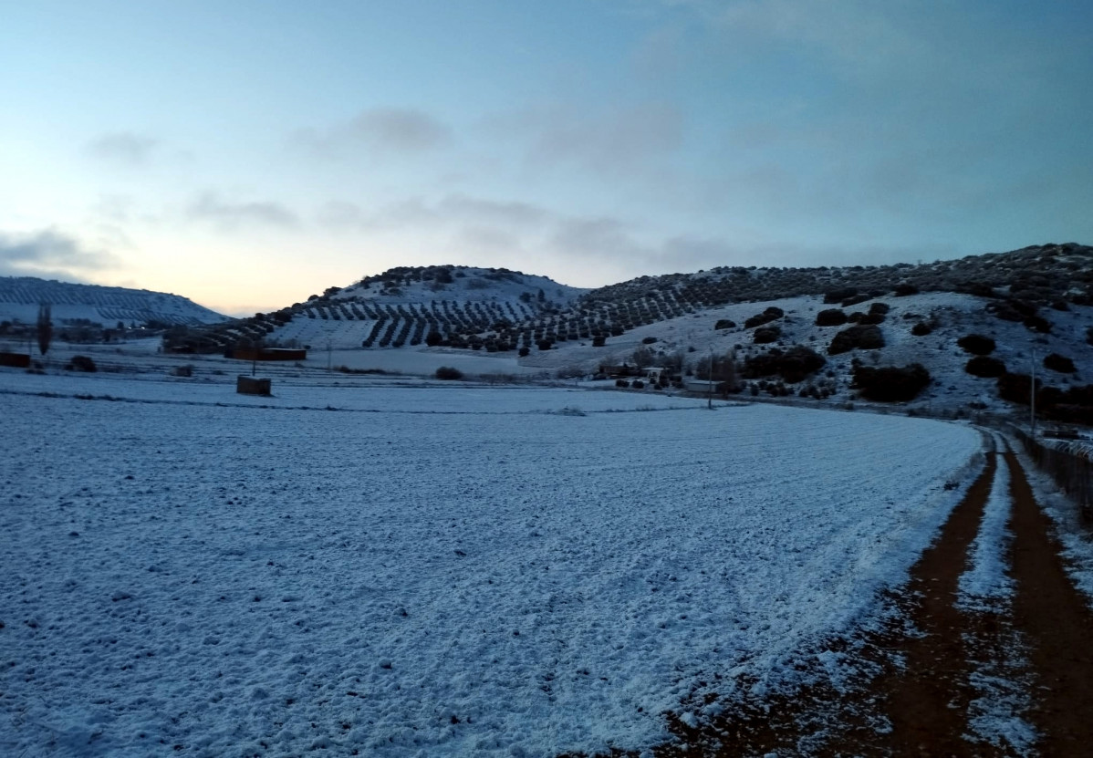 Carrizosa nevado 1