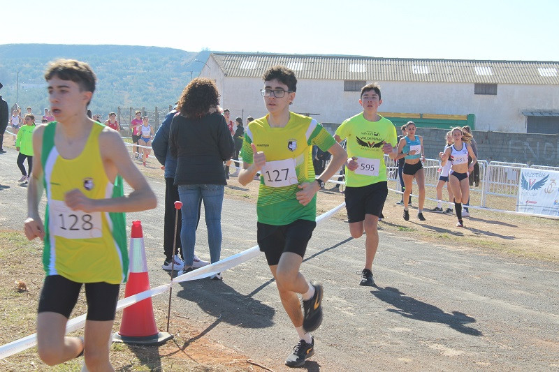 050223 VA CROSS 25