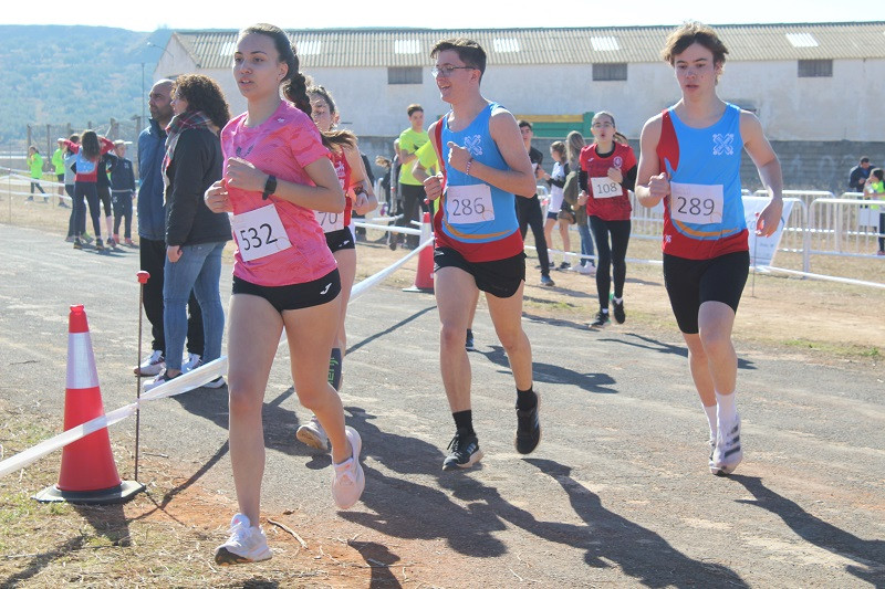 050223 VA CROSS 30