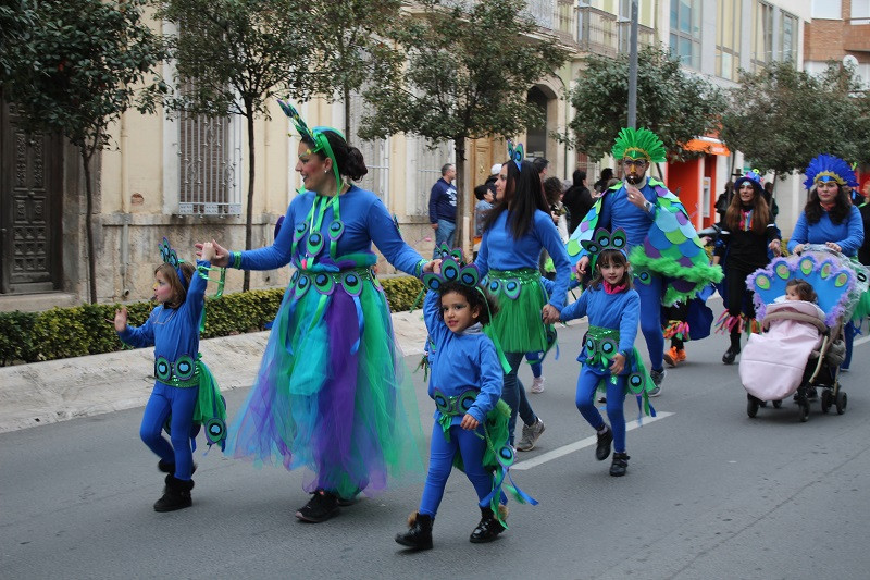 DESFILE CARNAVAL COLES 13