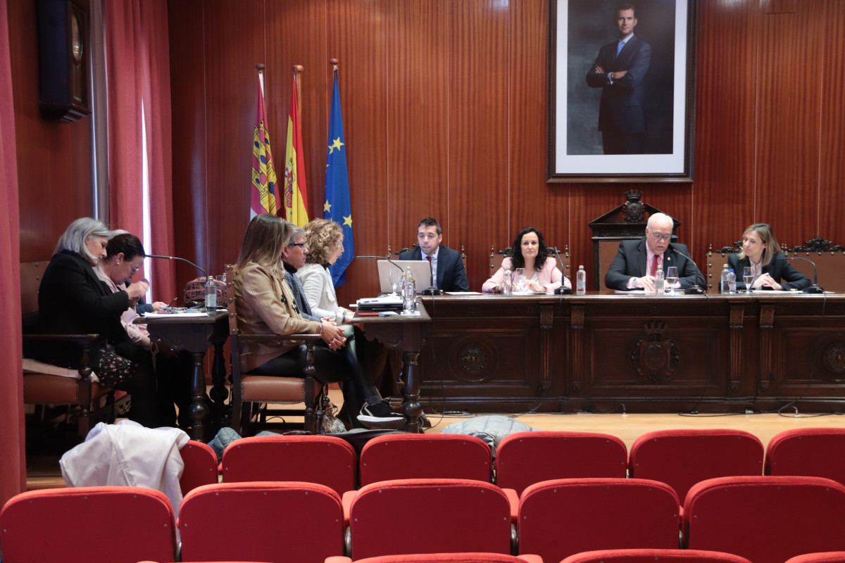 Pleno febrero 2023 (1)