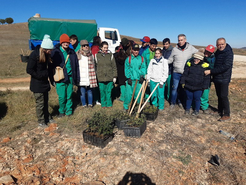 130323 VA PLANTACION