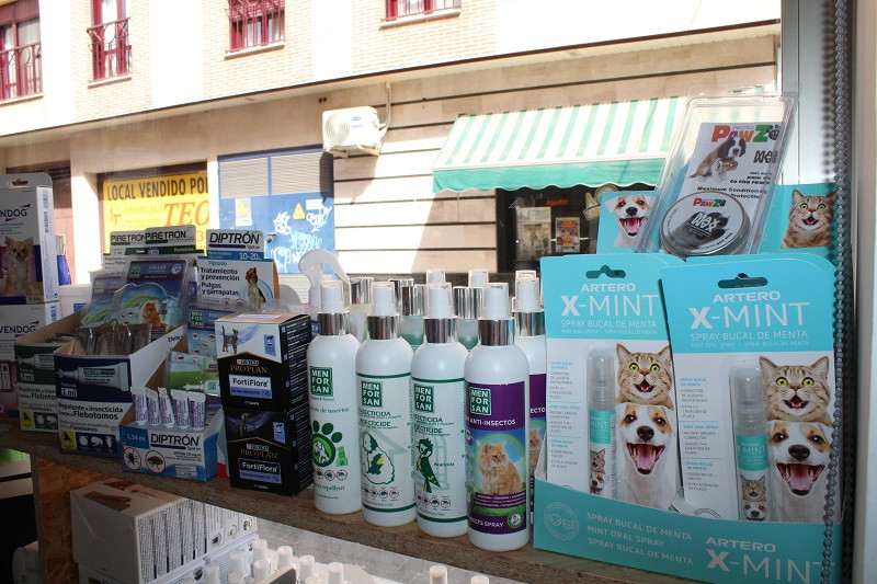 260323 VA PELUQUERIA CANINA LUNA 1