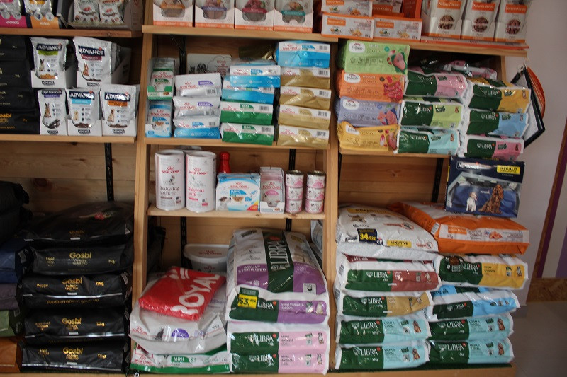 260323 VA PELUQUERIA CANINA LUNA 6