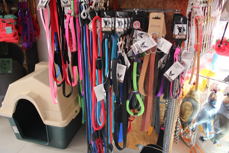 260323 VA PELUQUERIA CANINA LUNA 10