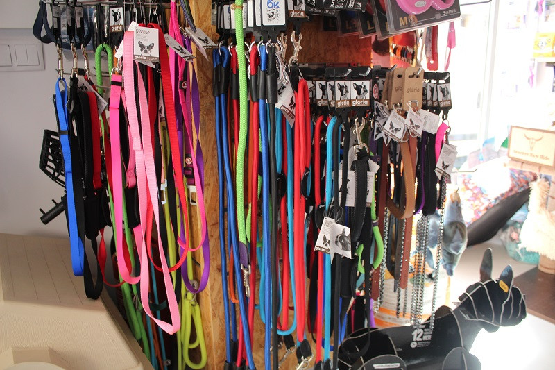 260323 VA PELUQUERIA CANINA LUNA 9