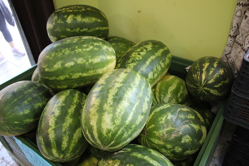 260323 VA FRUTAS Y VERDURAS MIGUEL 7