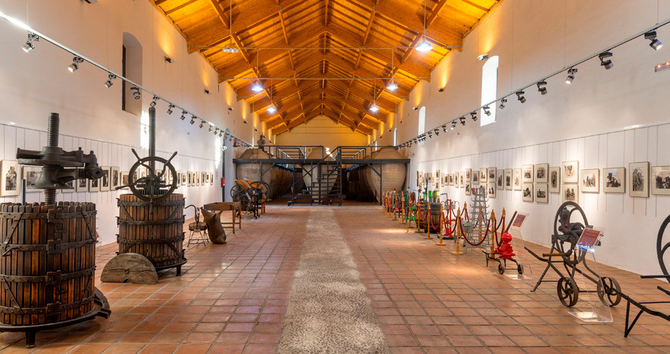 Museo del vino de valdepenas