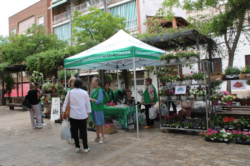 290423 VA AECC BALCON DE LAS FLORES 4