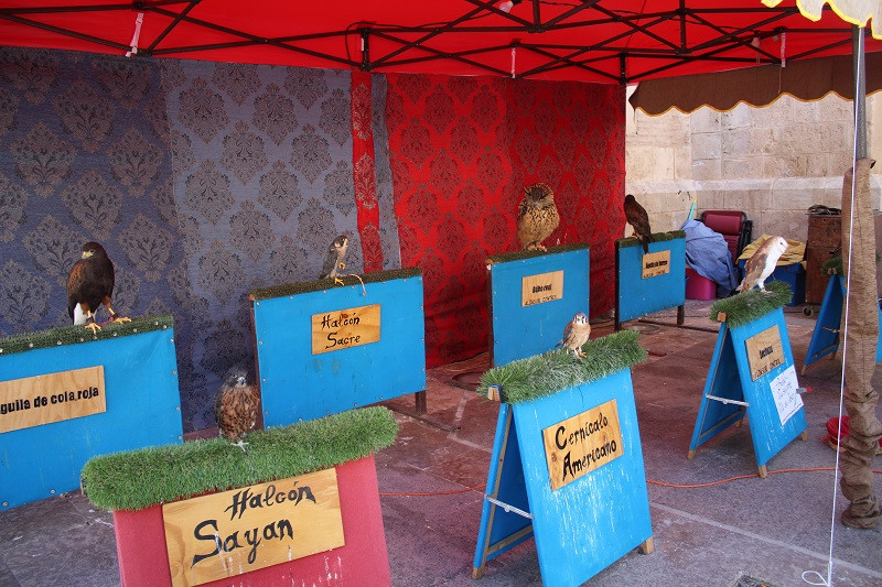 050823 VA MERCADO MEDIEVAL 12