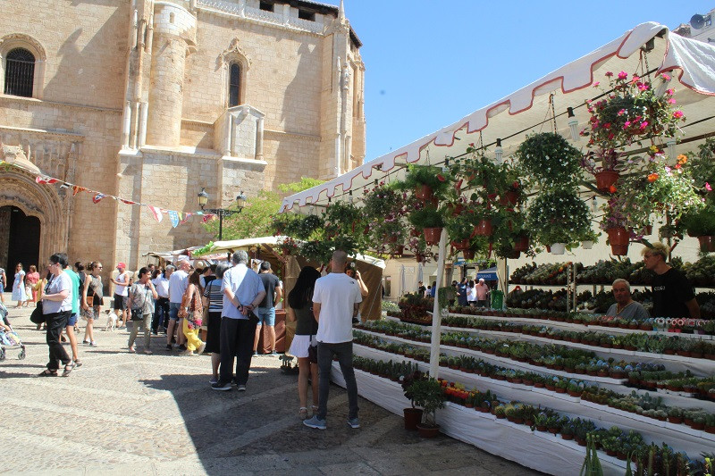 050823 VA MERCADO MEDIEVAL 11