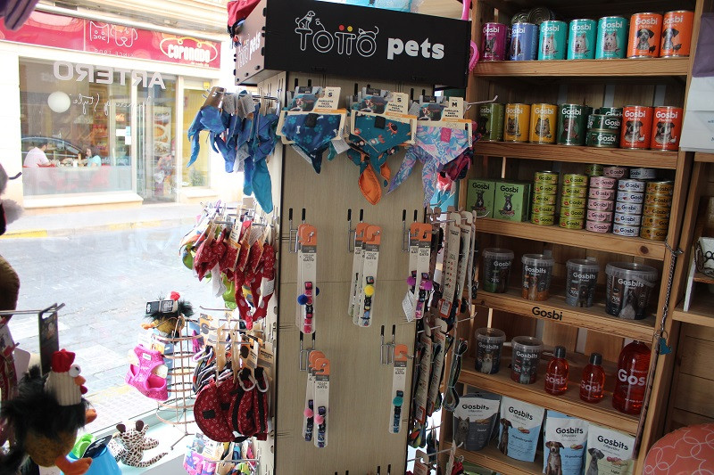 100823 VA PELUQUERIA CANINA LUNA 6