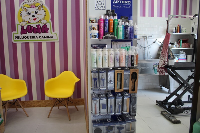 100823 VA PELUQUERIA CANINA LUNA 10