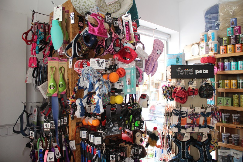 100823 VA PELUQUERIA CANINA LUNA 3