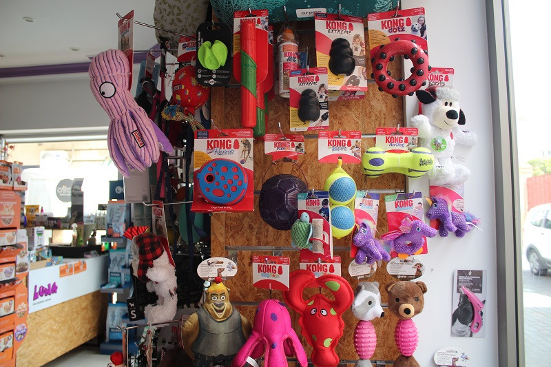 100823 VA PELUQUERIA CANINA LUNA 1