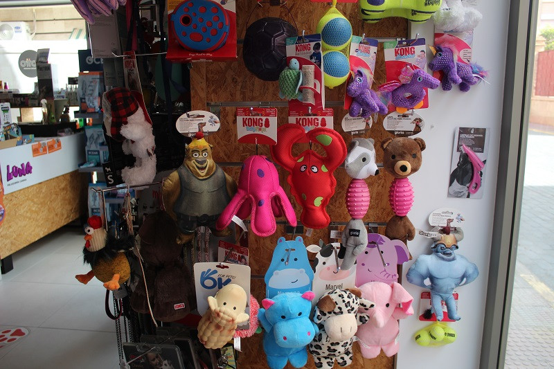 100823 VA PELUQUERIA CANINA LUNA 2