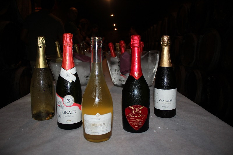 CATA BODEGA LOS LLANOS 1