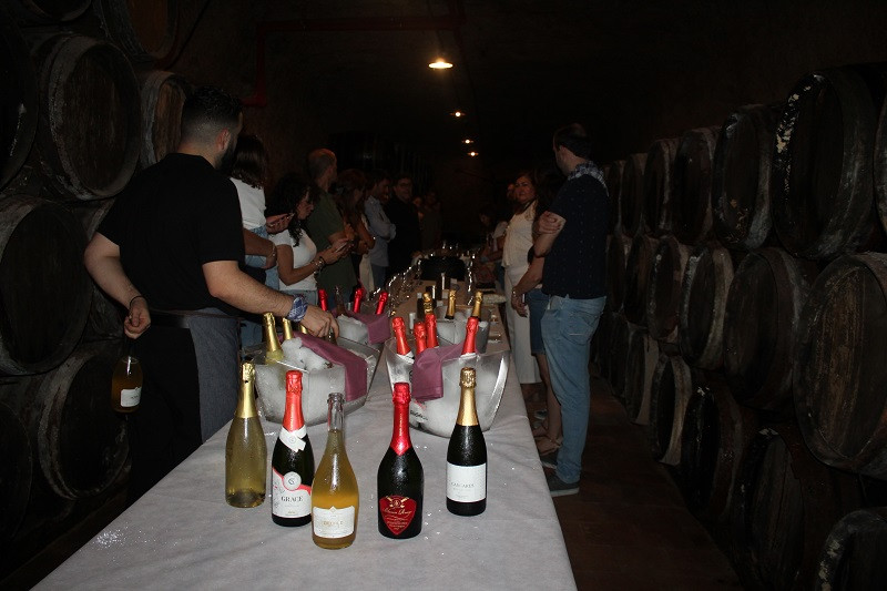 CATA BODEGA LOS LLANOS 2