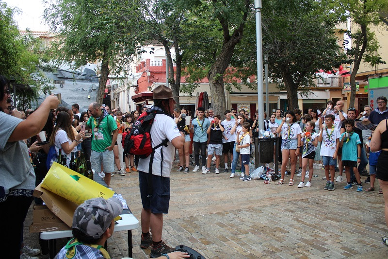 BRINDIS SCOUT 4