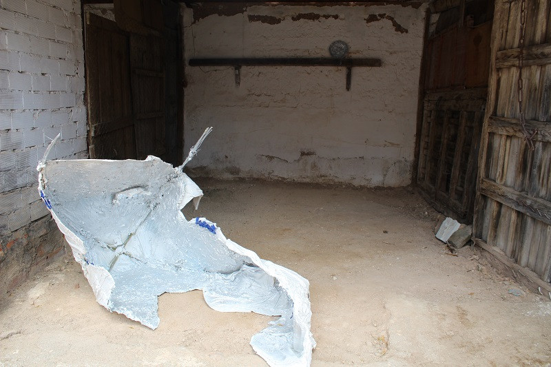 EXP FONDO FIGURA 7
