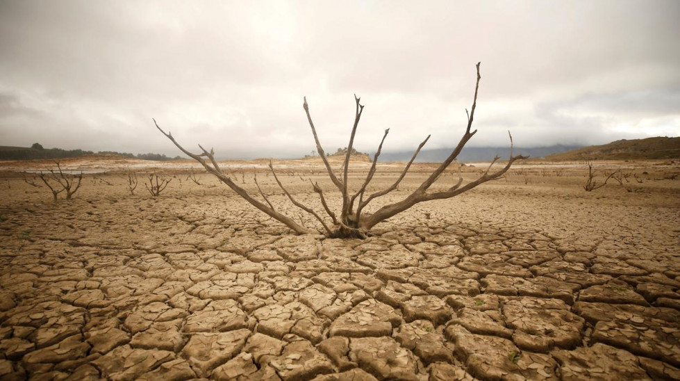 Emergencia climática