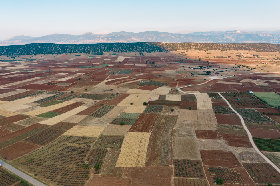 Campo cultivado arriba