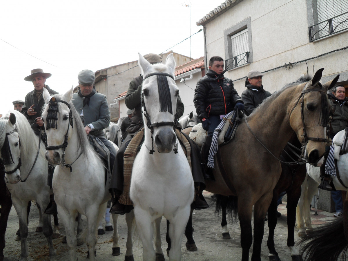 Imagen 1 (18)