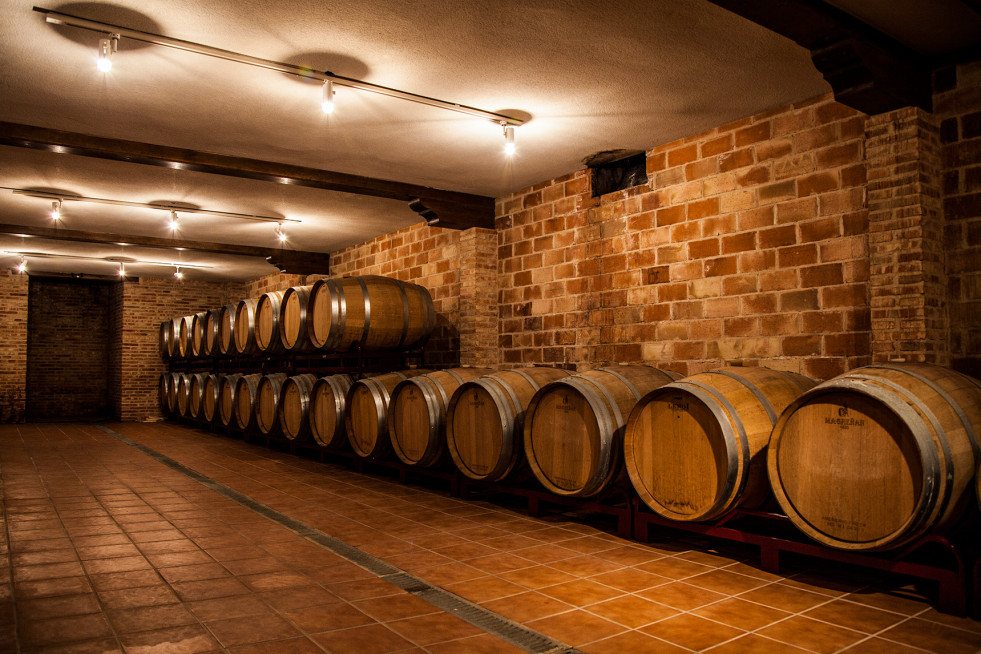 BODEGAS SIMBOLO
