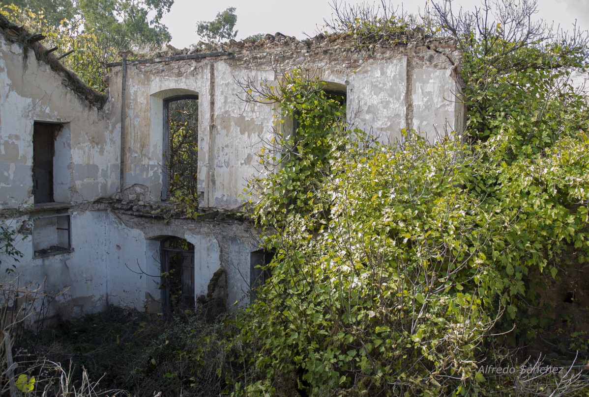 Fotografu00eda de Alfredo Su00e1nchez Alcaide.