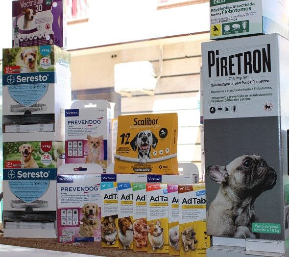 150424 VA PELUQUERIA CANINA LUNA 13