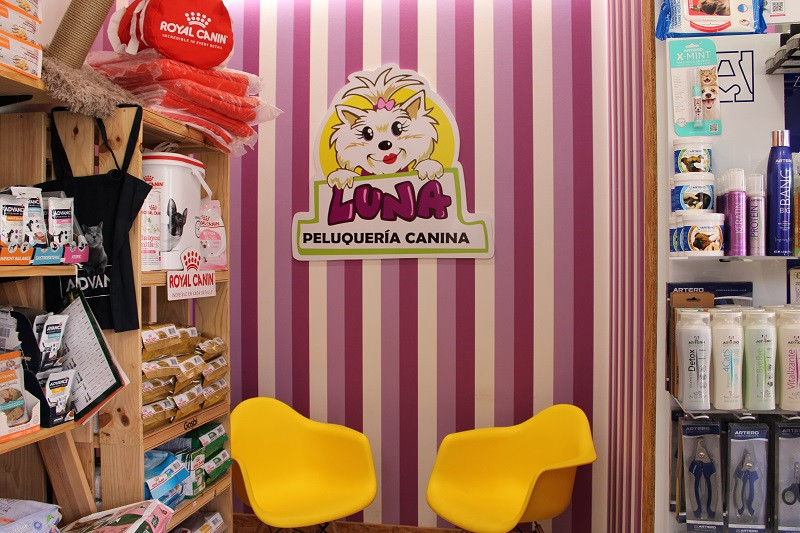 150424 VA PELUQUERIA CANINA LUNA 16