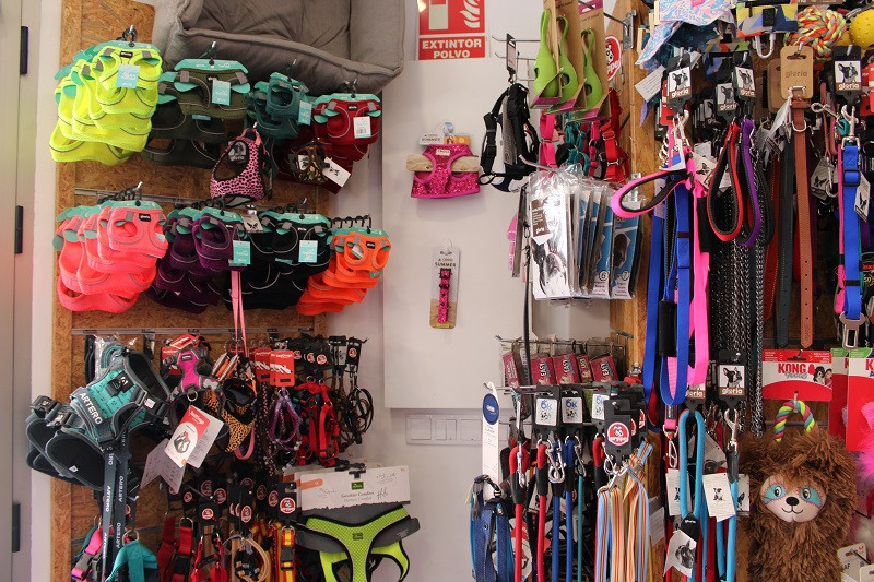 150424 VA PELUQUERIA CANINA LUNA 12
